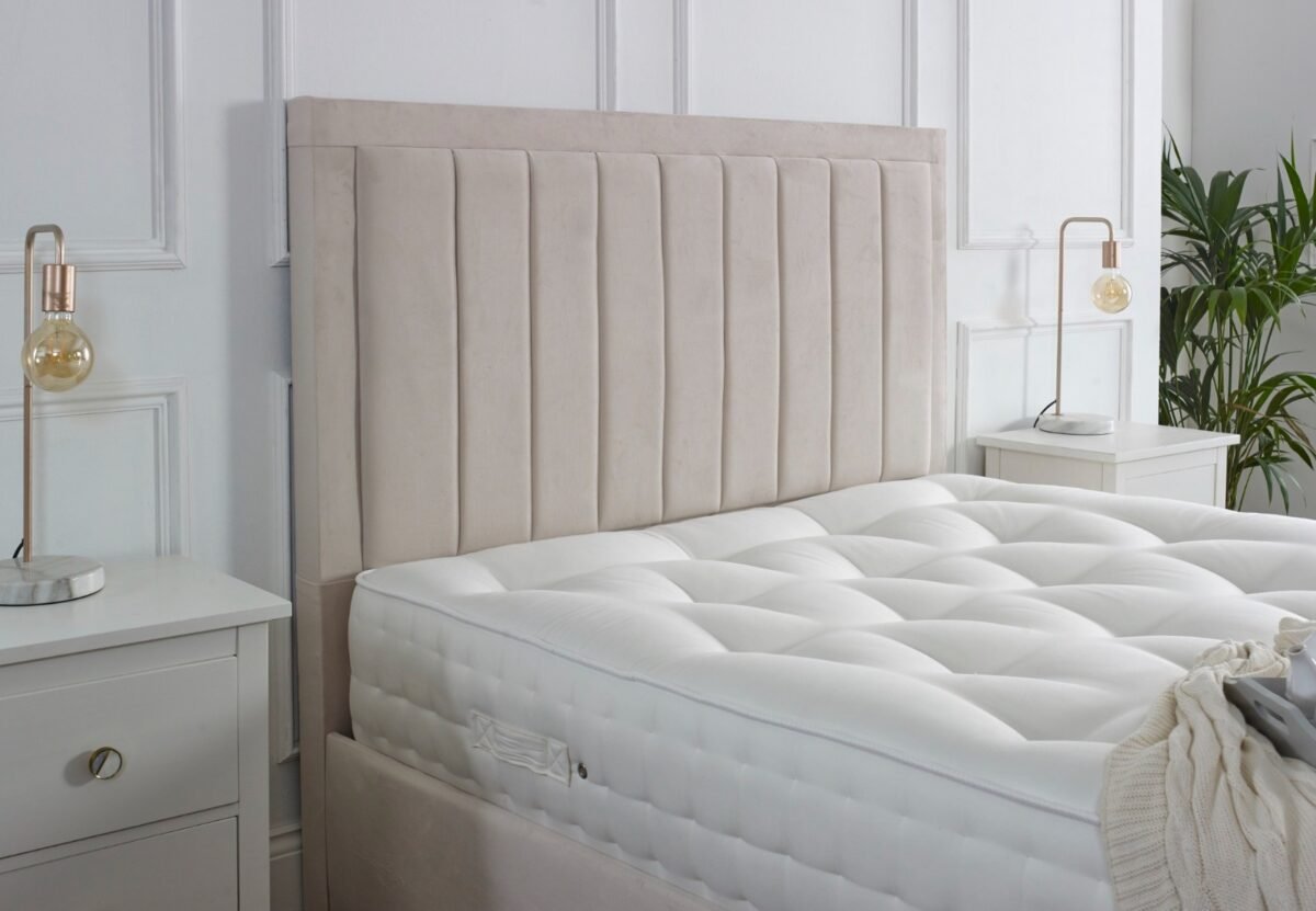 Panel Boarder Bed - Image 3
